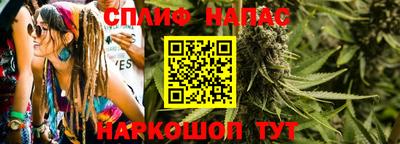ПСИЛОЦИБИНОВЫЕ ГРИБЫ Камышлов