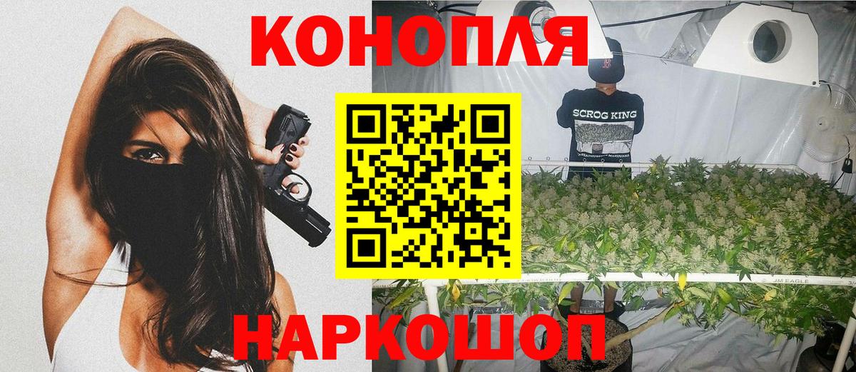 Канабис ГИДРОПОН Шуя